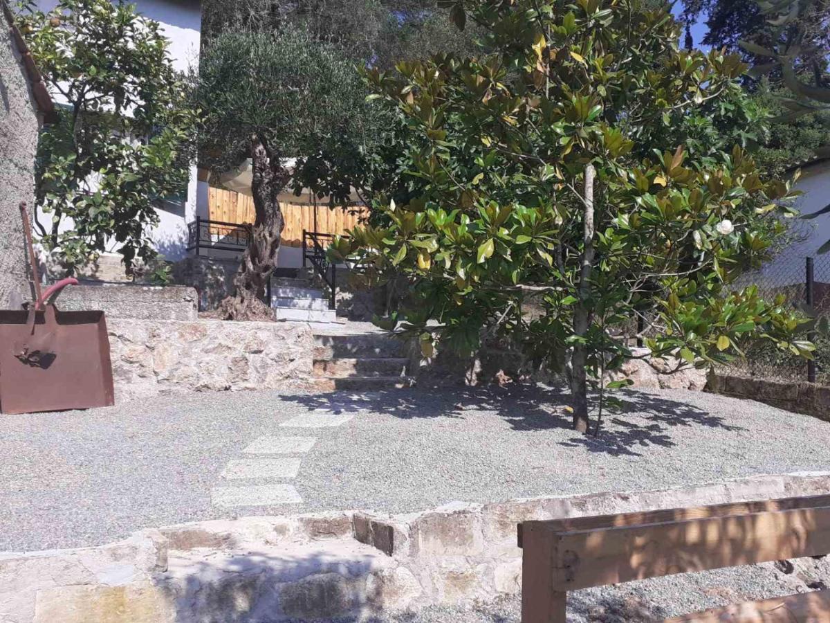 White Manolia Cottage カト・コラキアナ エクステリア 写真