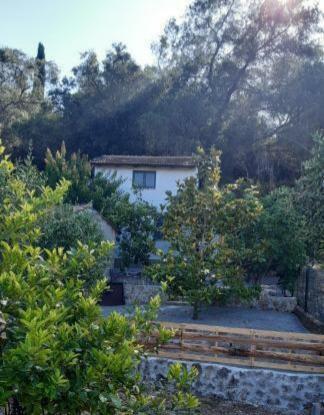 White Manolia Cottage カト・コラキアナ エクステリア 写真